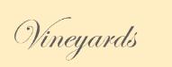 VignetieCantina